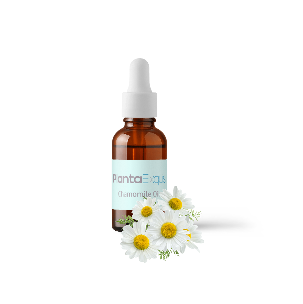 Roman Chamomile Oil